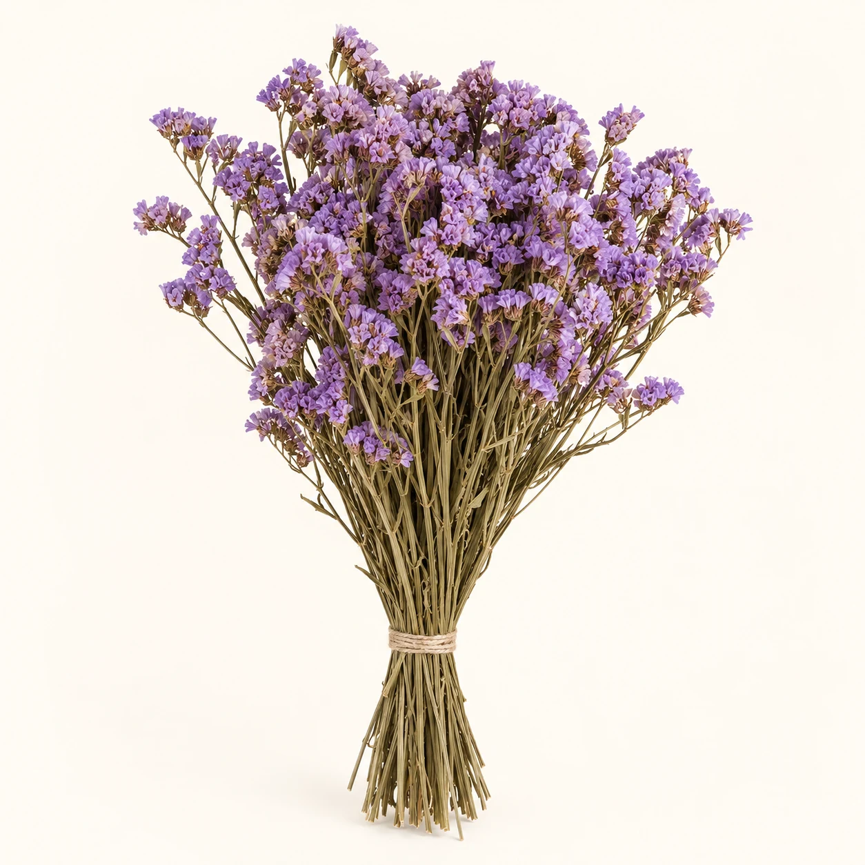 Lilac statice bundle